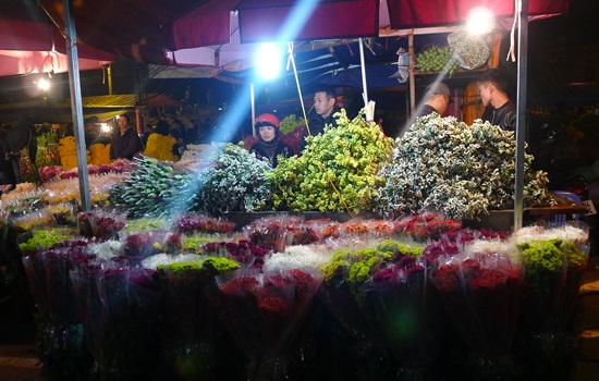 Rực rỡ chợ hoa Quảng Bá